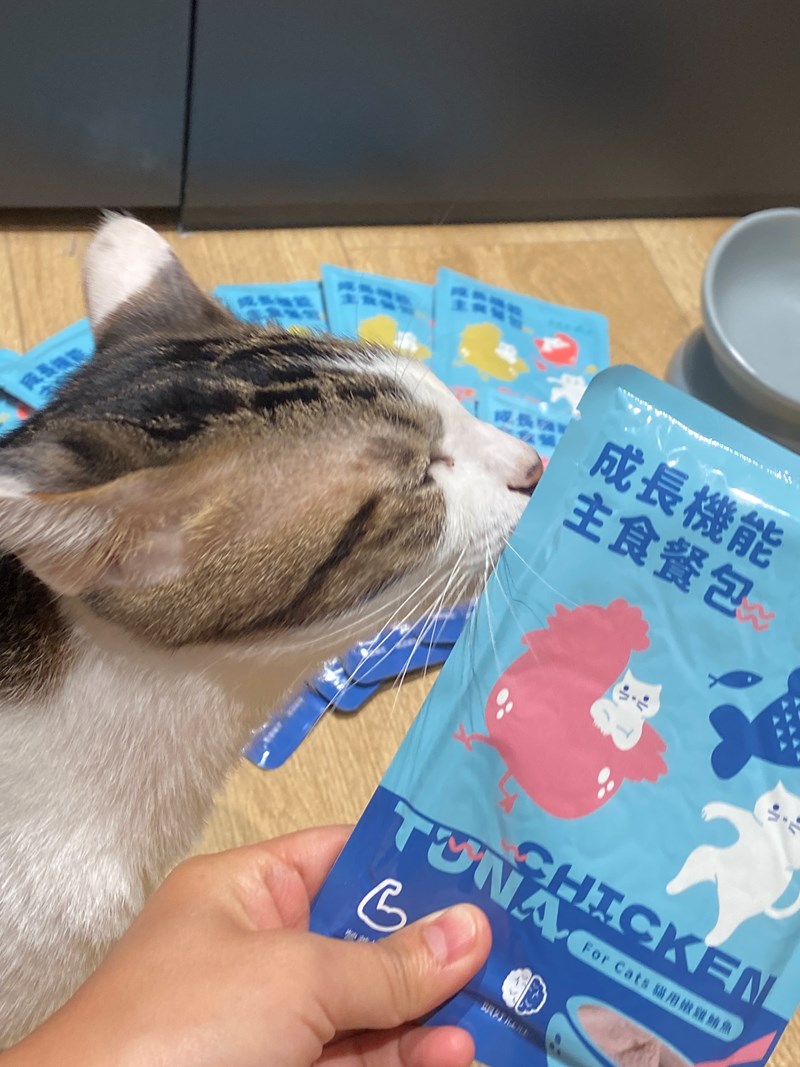 試用